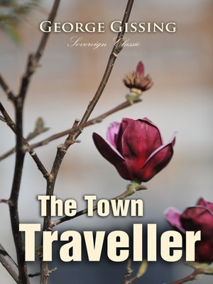 cover image of The Town Traveller